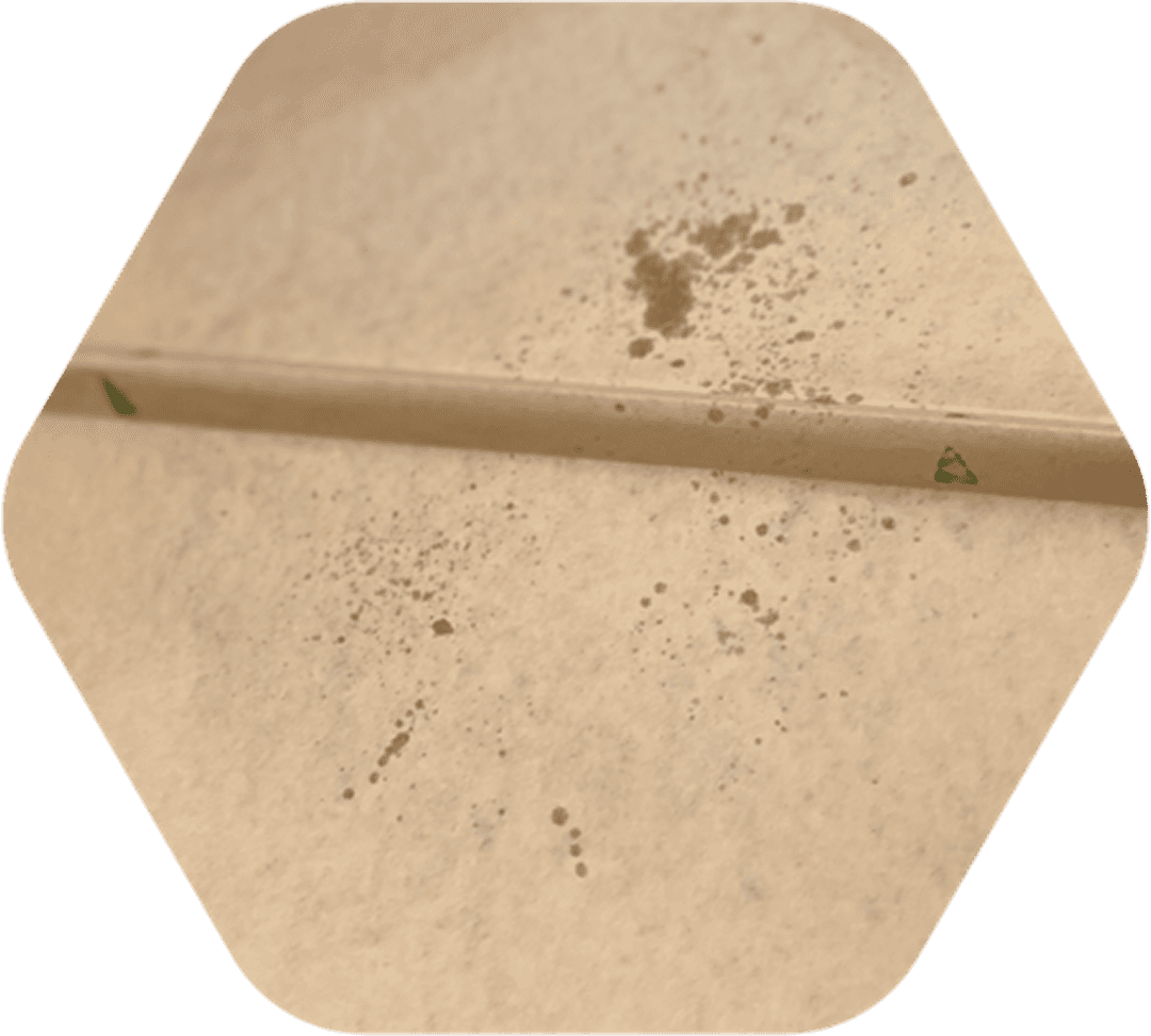 Keine Löcher bedeutet keine Fettspritzer